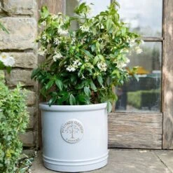 Woodlodge 38cm White / Cream Glazed Heritage Cylinder Pot -Outdoor Gardening Shop 5021346424430
