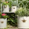 Woodlodge 36cm Wisteria Bee Cylinder Planter