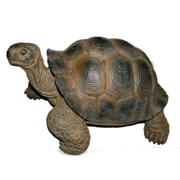 Vivid Arts 27cm Giant Tortoise -XRL-GTRT-D 1 Vivid Arts 27cm Giant Tortoise -XRL-GTRT-D