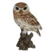 Vivid Arts 22cm Little Owl - XRL-LTWL-D