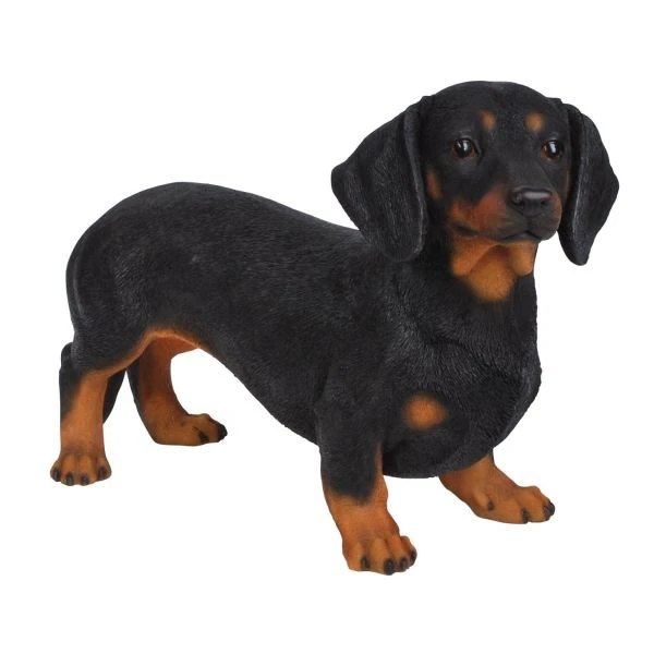 Vivid Arts 50cm Dachshund - XRL-DACH-A 1 Vivid Arts 50cm Dachshund - XRL-DACH-A