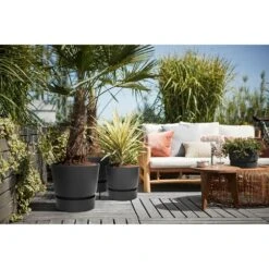 Elho 25cm Living Black Greenville Round Planter -Outdoor Gardening Shop 8711904332334 4