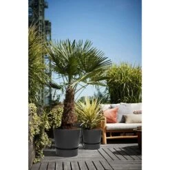 Elho 25cm Living Black Greenville Round Planter -Outdoor Gardening Shop 8711904332334 5
