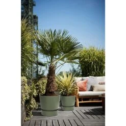 Elho 25cm Leaf Green Greenville Round Planter 8 Elho 25cm Leaf Green Greenville Round Planter -Outdoor Gardening Shop 8711904332433 4