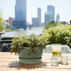 Elho 33cm Leaf Green Greenville Bowl Planter 8 Elho 33cm Leaf Green Greenville Bowl Planter -Outdoor Gardening Shop 8711904332464 4