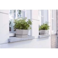 Elho 50cm Living Concrete Greenvillle Long Trough Planter -Outdoor Gardening Shop 8711904358440 4