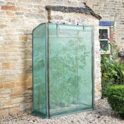 Smart Garden Tomato Grow Zone 5 Smart Garden Tomato Grow Zone -Outdoor Gardening Shop grozone tomato growhouse lifestyle 2