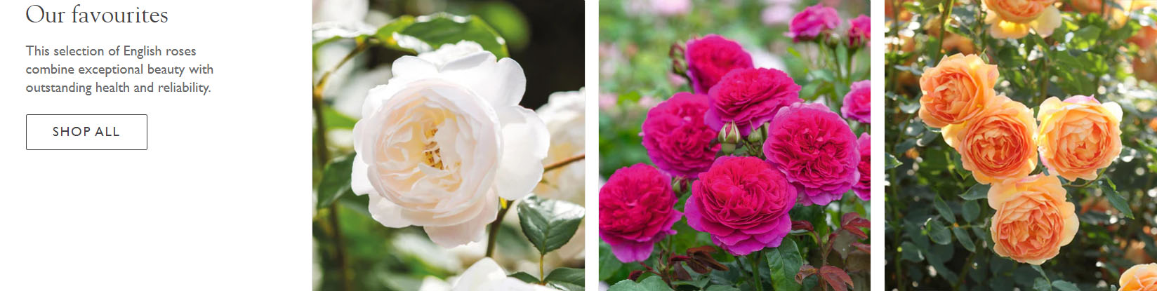 Outdoor Gardening Shop -Outdoor Gardening Shop tutu